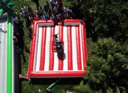 Rodeo Şişme Oyuncak Kiralama İstanbul Piknik Organizasyonu